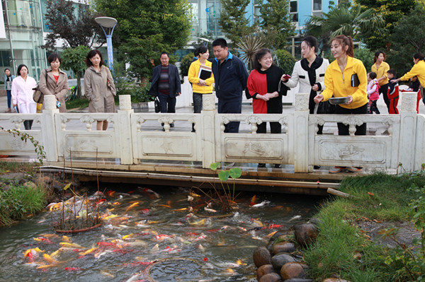 2012年郑州市省级示范幼儿园评估小组到郑东新区评估验收