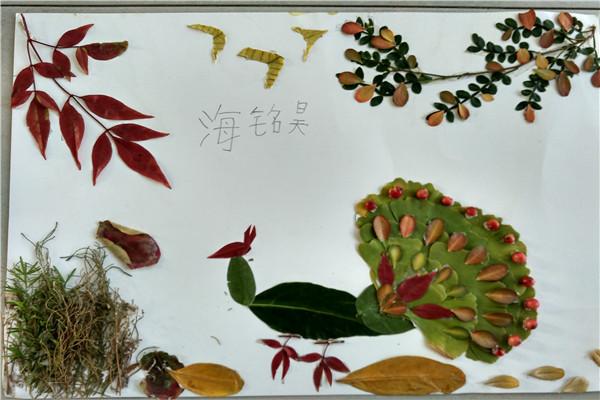六年级落叶贴画