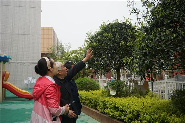 安全小组人员对户外树木进行安全排查
