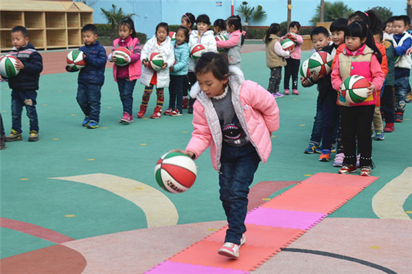 幼儿园托班游戏教案:小乌龟来运球|幼儿园托班