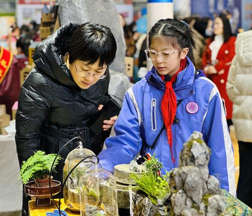 龙翼小学学生马心清讲解作品