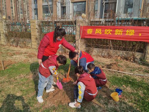 共同为树苗铲土、浇水