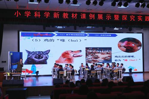 2.河南大学附属学校牛明星老师进行课例展示