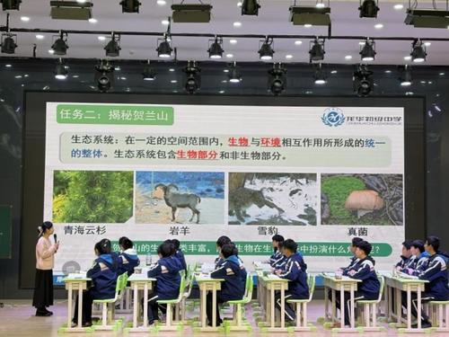 1郑东新区龙华初级中学张艳茹老师进行课例展示