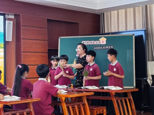 1郑东新区杨桥中心小学刘全秀老师执教《白白的大米哪里来》